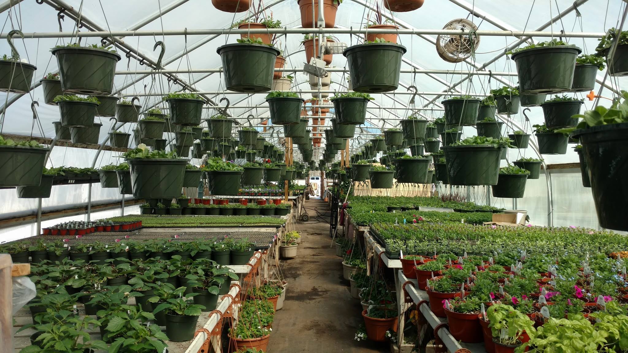 Home Farmfield Greenhouses 367 Carl Broggi Hwy Lebanon Maine